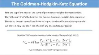 The Goldman-Hodgkin-Katz Equation
