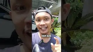 KABAR TERBARU AXIE DAN AXIE CLASSIC COMEBACK!