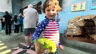 Family day at Gatorland! 