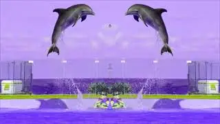 DOLPHIN JUMPING POOL Effects (SBP2V17E)
