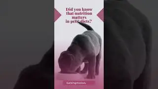 Did you know that #nutrition matters in #pets diets? #petfood #dogfood #catfood #pettips #dogtips