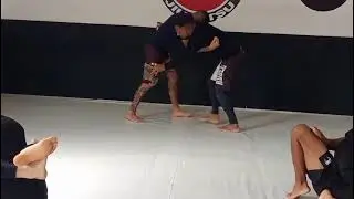 Treino sem kimono na parte da manh&atilde; 