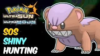 Shiny Yungoos SOS Shiny Hunting