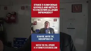 Strike 3 Holdings subpoenas Google and Netflix to learn about infringers