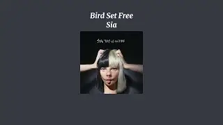 Sia - Bird Set Free (Sped Up Version)