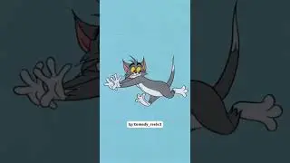 ot so funny 🤣🤣cat and rat running🏃💨💨🏃💨💨