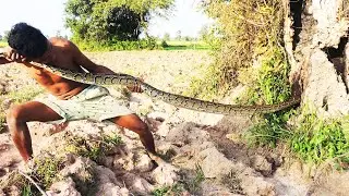 Primitive Man Catching Big python snake Using Trap PVC - Creative Snake Trap Underground