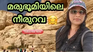 Ein Avdat|Negev desert| Naturespring|Israel|Malayalam|LinuWilson|It's Me Linuz