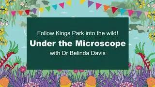Western Australian orchids with Dr Belinda Davis