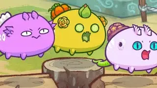 BULKWARK SCALY SPOON REFLECT SEASON 19 | AXIE INFINITY