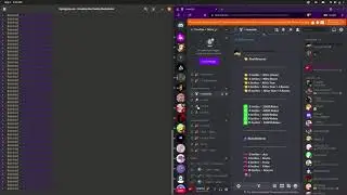 NUKING A FAKE NITRO REWARD DISCORD SERVER #1