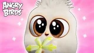 The Most HEARTWARMING Hatchling Moments EVER! 🥺💖