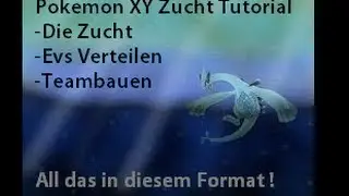 Teambau #1 ~Die Zucht , der Anfang eines Teams