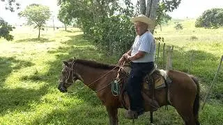 Aki con mi t&iacute;o Isaias y con el primo chato, nos visitaron de la capital😇🐄🐎