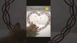 Arey yhi jgha mili billo.     #drawing #kitten #cutebears #lovely #creative