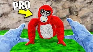 Я играл с самым молодым профессиональным игроком в горилла-таг...
