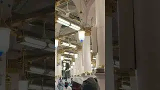 #islamicstatus #duet #beautiful #viral #shorts #memes #madina #makkah #india #pakistan #dubai #naat