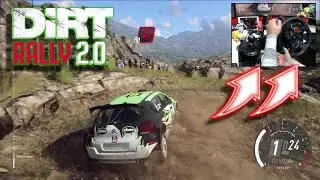 Citroën C3 Argentina / Logitech G29 DiRT Rally 2.0