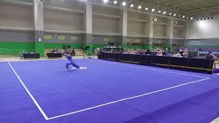 제32회 회장배 전국우슈선수권대회 및 국가대표선발전 2일차 (1101)