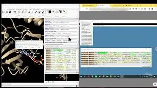 How to define/list selections using UCSF ChimeraX 