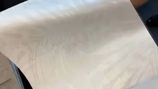 Martana palmino lišće tapete