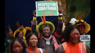 Bel&eacute;m COP30: Climate Action, Indigenous Voices + Books You Should Read