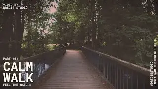 CALM WALK - DJI ACTION 4 | Cinematic Video