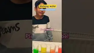 Walking water science experiment #shorts #ytshorts