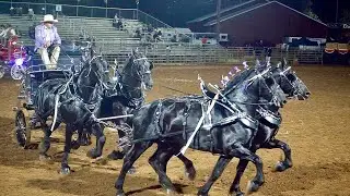 Four Up Class - 2024 Draft Horse Classic, Grass Valley CA