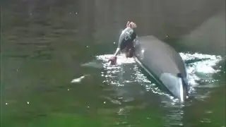 Lever Kayak Roll Easiest Roll to Learn