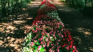 Rose Garden, Tacoma WA Point Defiance