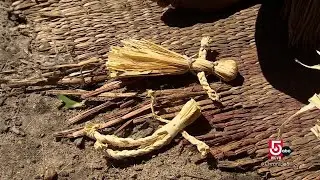 Learning how the indigenous people of Massachusetts lived at the Plimouth Patuxet Museum