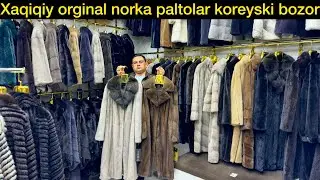 Natural palto narxlari 2023 koreyski bozor 2023