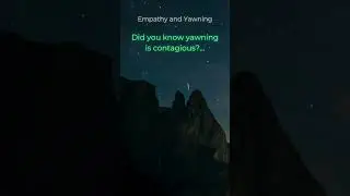 Empathy and Yawning