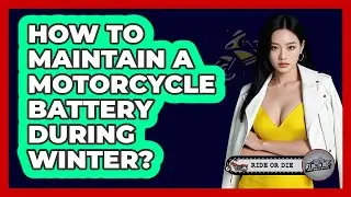 How To Maintain A Motorcycle Battery During Winter?