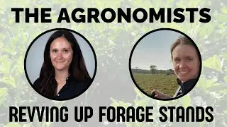 The Agronomists, Ep 228: Revving up triticale stands with Joanna Follings and Christine O'Reilly