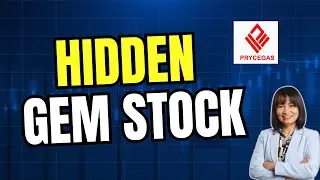 Hidden Gem Stock with Strong Growth / Pryce Corporation (PPC) Review