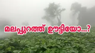 #മലപ്പുറത്തിന്റെ സ്വന്തം ഊട്ടി#Mini ooty#Malappuram Tourism# Kerala