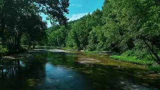 Bull Creek RV Park