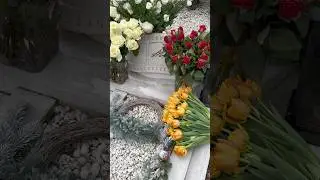 Сегодня ей исполнилось бы 69 лет / Рак желудка , могила Веры Глаголевой Троекуровское 31 января 2025