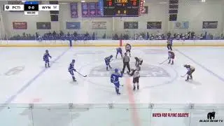 Ryan Hulsebos PxP Hockey Highlights - Passaic County Final: PCTI vs Wayne (2025)