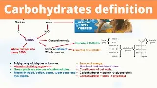 Carbohydrates definition | Biological molecule | Functions and classification