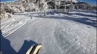 Tree Skiing and Fresh Tracks at Monarch Mountain 