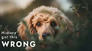 The Poodle Conspiracy: The World&rsquo;s Most Misunderstood Working Dog