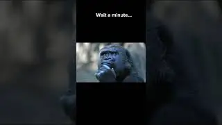 Wait a minute... #help #memes #waitaminute #wait #a #minute #meme #shorts #short #recommended