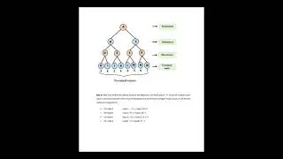 AI 9th Lab Manual by University of the Punjab
