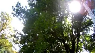Sun Flicker