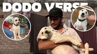 15 Days With DODO 🐾 | Cute, Funny & Heart-Touching Moments