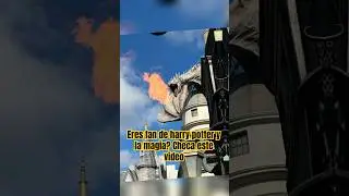 Eres fan de harry potter? Checa este video #harrypotter #harrypotterfan #potter