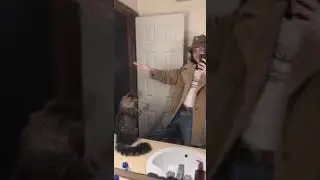 Funny Animals Vol. 7 | Animals Doing Things